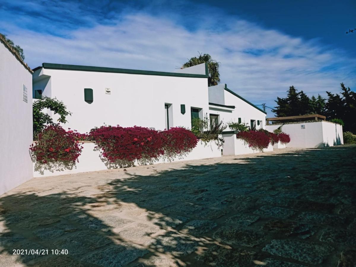 Casa La Palmera - Solo Familias Y Parejas Conil De La Frontera Exteriér fotografie